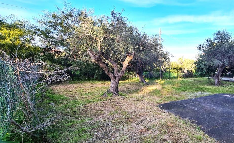 Giardino San Nicola Villa Trabia Esterno foto